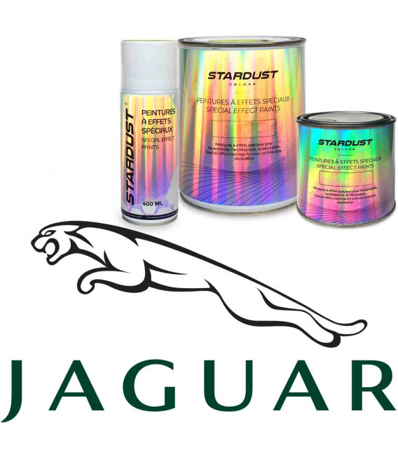 Vernici auto Jaguar - Codici colori Jaguar in base a solventi