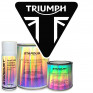 Vernici per moto TRIUMPH - Colori del produttore in vernice a base solvente